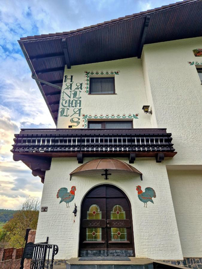 Mini-hôtel Hanul Almas